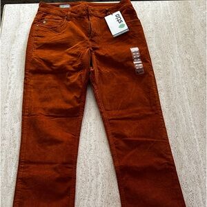 Mens STIO corduroy pants. Burnt orange. 32w Reg. Never worn. Tags on.